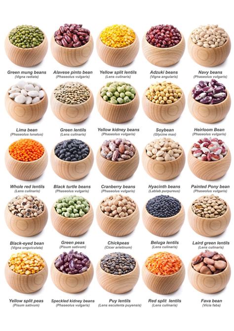 Legumes 101: Everything You Need to Know About Legumes