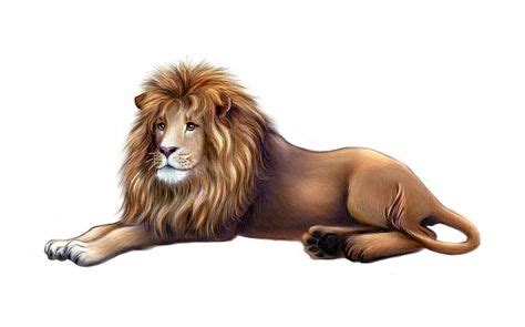 lion lying down drawing - Google Search | Baby animals