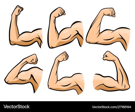 Cartoon hand muscle strong arm boxer arms Vector Image