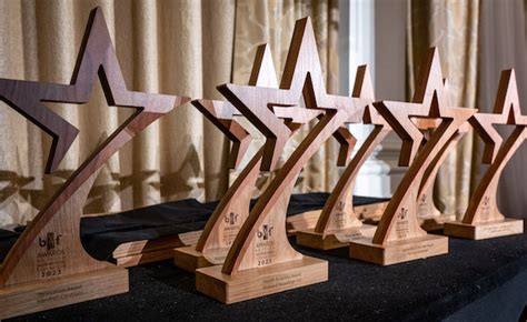 Winners of 2023 BWF Awards announced | Woodworking News