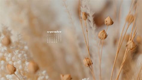 🔥 [37+] September 2021 Calendar Wallpapers | WallpaperSafari