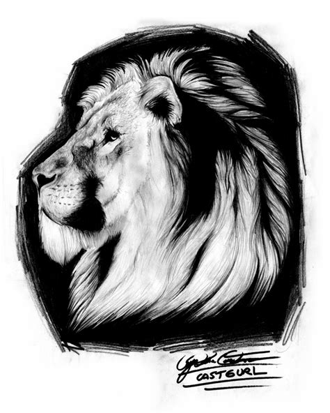 Lion Pencil Drawing — Weasyl