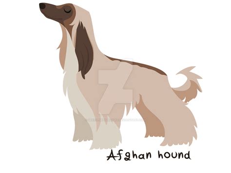 Afghan hound by GreecemisisBiscuit on DeviantArt