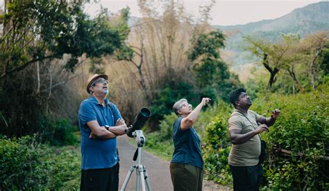 Bird Watching Activity in Jungle Hut | Resort in Masinagudi