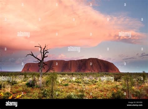 Ayres rock hi-res stock photography and images - Alamy