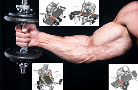 Forearm Flexor Workout