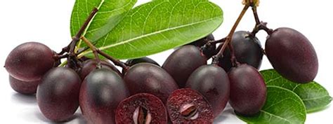 Karonda: Tremendous Health Benefits Of The Black Currant Fruit