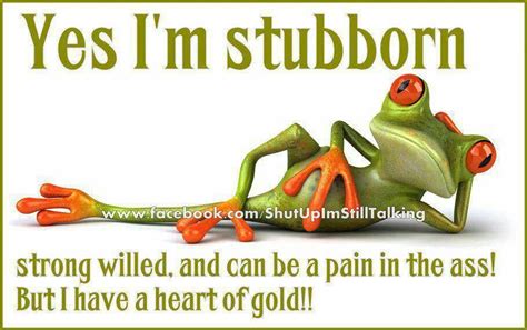 yes I'm stubborn..... | Frog quotes, Funny frogs, Frog