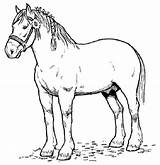Free Printable Horse Coloring Pages For Kids sketch template