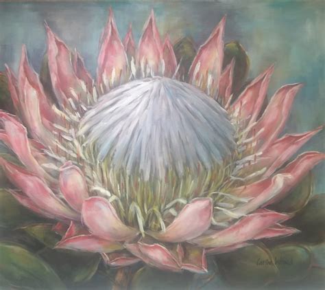 Pink Protea – Etchings Art – Umgeni Park