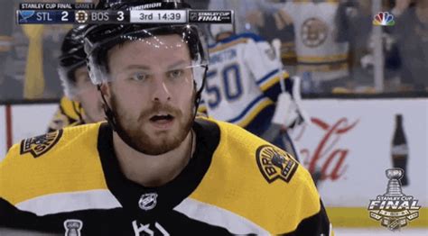 Happy 2019 Stanley Cup Finals GIF by NHL - Find & Share on GIPHY