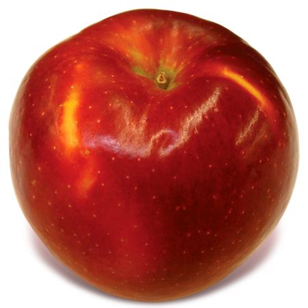 CrimsonCrisp - New England Apples