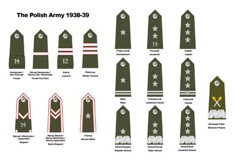 Polish Rangs. | Wwii uniforms, Navy ranks, Army ranks