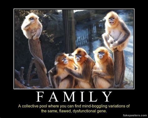 Your Poster | FakePosters.com | Family quotes funny, Family quotes humor, Funny picture quotes