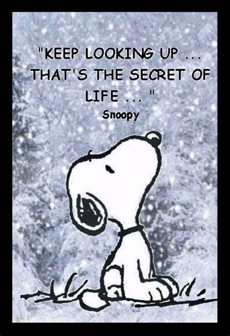 7 Snoopy Quotes About Life And Happiness | Snoopy quotes, Snoopy, Quotes