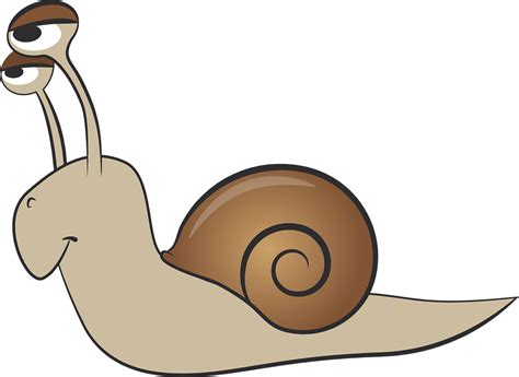 Snail Shell Mollusk - Free vector graphic on Pixabay