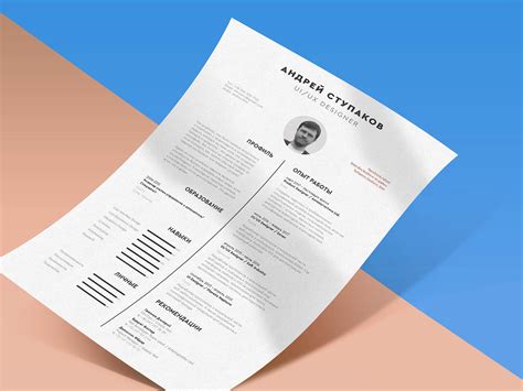 Resume Templates Indesign (6) - TEMPLATES EXAMPLE | TEMPLATES EXAMPLE