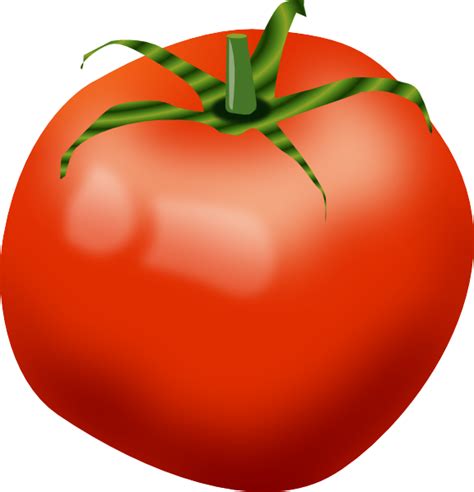 Tomato Clip Art Cartoon Transparent HQ PNG Download | FreePNGImg