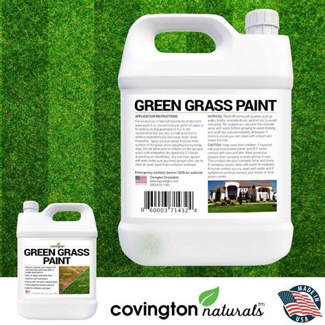 Grass Paint, Lawn Paint to Spray Grass Green, Grass Dye, Grass Spray Paint, Green Lawn Paint ...