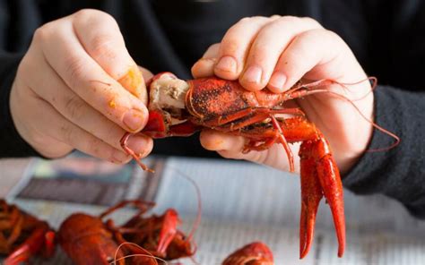 Learn How To Eat Crawfish Properly? - GudStory.com