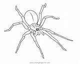 Fishing Spider Coloring Page For Kids  Free Spiders Printable sketch template