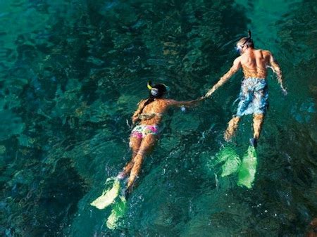 Island Star Excursions: The best snorkeling on Maui.