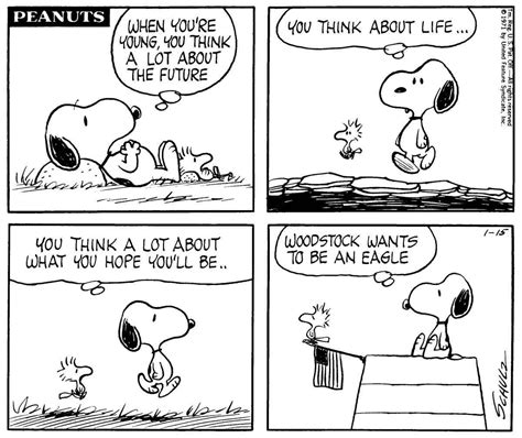 Pin by Lynn Northmore on The Peanuts Gang | Snoopy comics, Snoopy funny ...