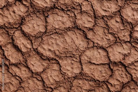 High-Resolution Image of Mud Cracks Texture Background Showcasing the ...