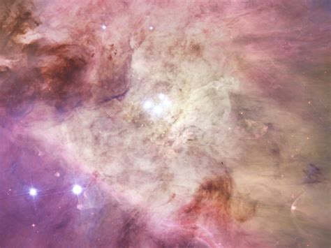 Orion Nebula's Biggest Stars Free Stock Photo - Public Domain Pictures