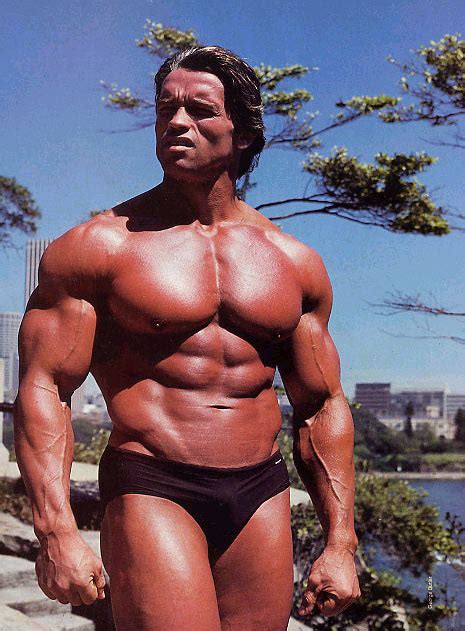 celebrity image gallery: Arnold Schwarzenegger Bodybuilding Photos