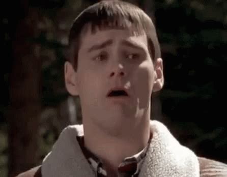 Gag Dumb And Dumber GIF - Gag DumbAndDumber - Discover & Share GIFs