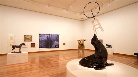 Christchurch Art Gallery Tours - Book Now | Expedia