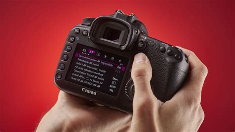 49 essential Canon DSLR tips and tricks you need to know | Dslr photography tips, Photography ...