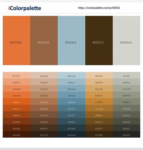 1 Latest Color Schemes with Cape Palliser And Celeste Color tone ...