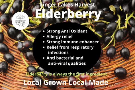 Elderberry Tonic - Finger Lakes Harvest