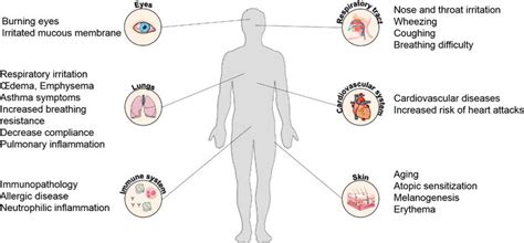 The Hidden Face of Nitrogen Oxides Species: From Toxic Effects to Potential Cure? | IntechOpen