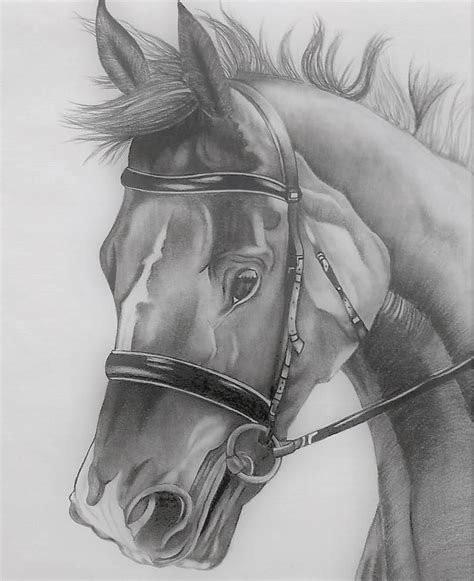 kenfortes-Arts-classes-online-HORSE-HEAD-PENCIL-SHADING-Siri ...