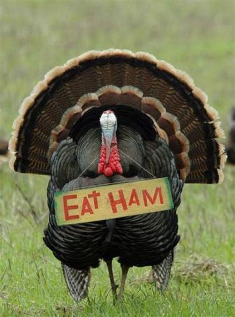 25 Super funny Thanksgiving memes that will make you smile