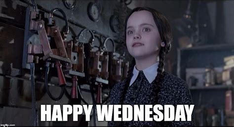 Image tagged in wednesday,wednesday addams - Imgflip