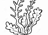 Kelp Coloring Page At GetColoringscom  Free Printable Colorings Pages sketch template