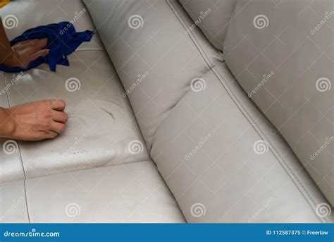 Cleaning Leather Sofa at Home Stock Image - Image of maintenance ...