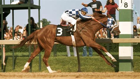 Famous racehorses: 15 of the best of all time | Horse & Hound