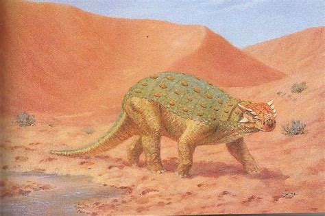 Pinacosaurus : Classification Règne Animalia Embranchement Chordata Sous-embr. Vertebrata Classe ...