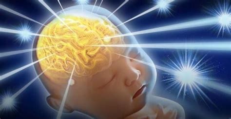 Create A Better Brain Through Neuroplasticity – Chapter 2 Part 2 Debi’s Baby Brain And The ...