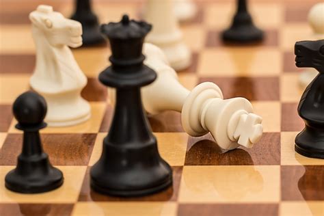 Checkmate Chess Resignation - Free photo on Pixabay