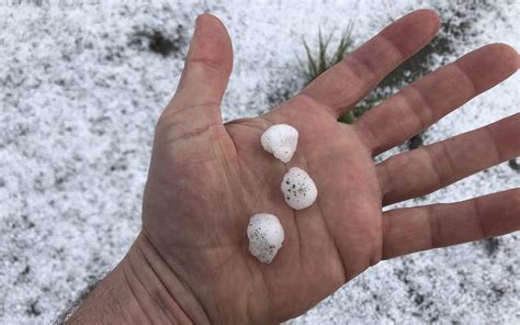 Some Motueka fruit growers lose entire crop in hailstorm | RNZ News