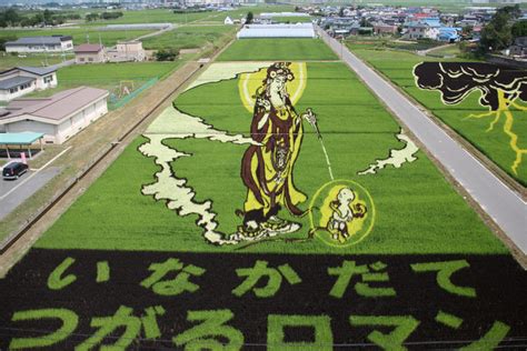 Rice Paddy Art: Don’t Miss Japan’s Otherworldly Art! | Goin’ Japanesque!