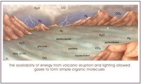 1. Origin of life | Organic molecules, Life, Simple organic