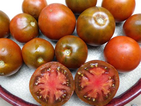 Black Tomato Varieties Guide: Everything You Need To Know About Them