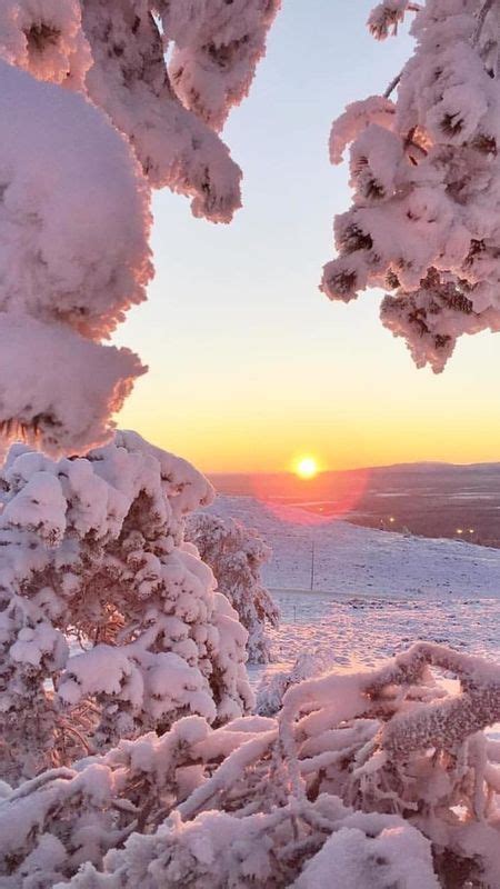 Winter Aesthetic | Sunset Wallpaper Download | MobCup